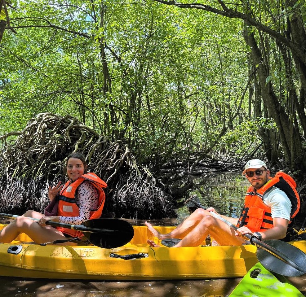 Kayaker exploring mangrove channels in Mawella Lagoon Tangalle Sri Lanka